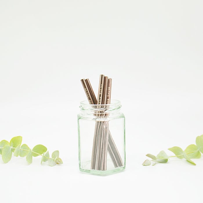 Reusable Stainless Steel Rose Gold Short Straw - Single